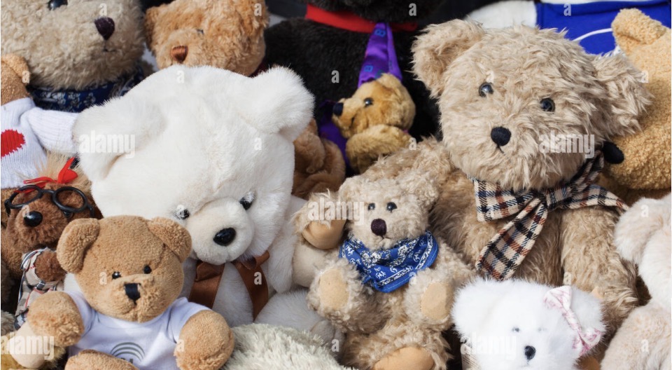 100 pk Teddy Bears (different sizes shapes, and colors)