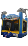 Dolphin Bouncer